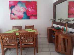 Bel appartement à 2 minutes de la plage de Boucan